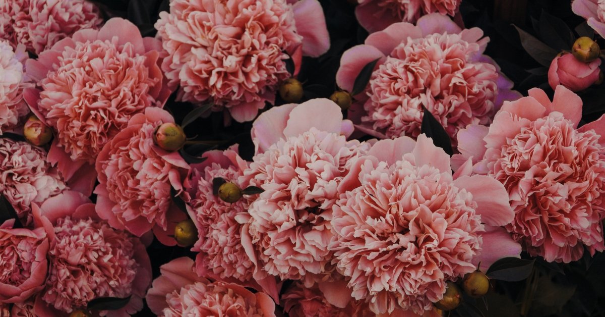 Mother's Day Flower