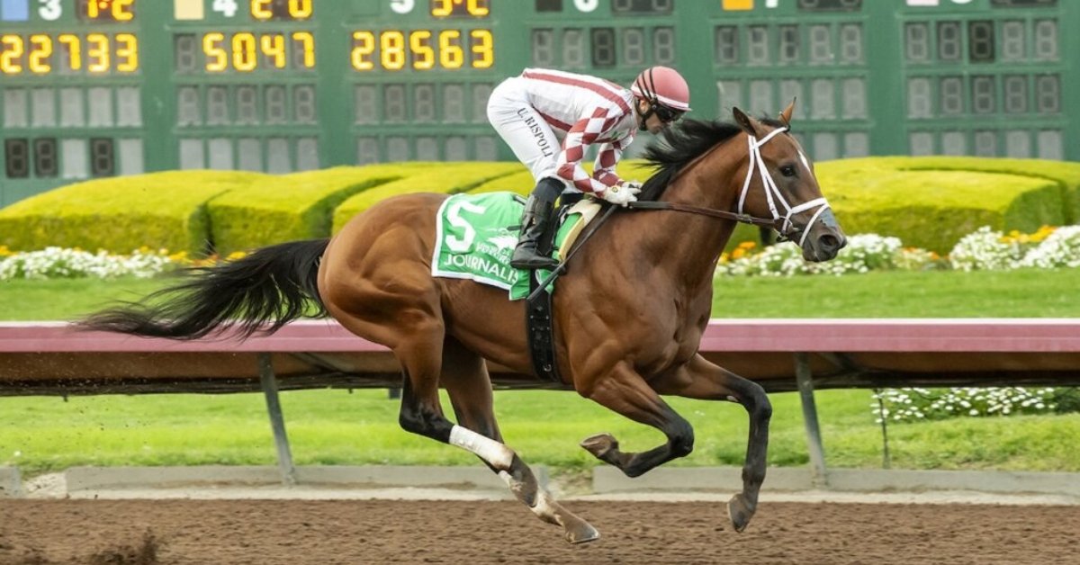 Who Owns Journalism Horse Derby Star's Epic Tale