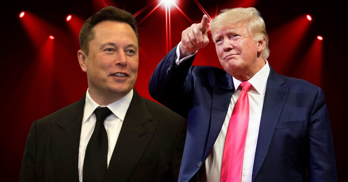 Why Are Elon Musk And Donald Trump Feuding